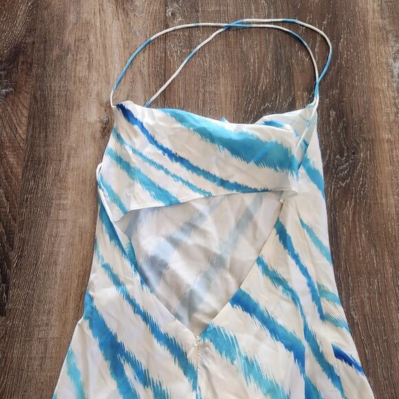 Retrofete Amika Dress in Blue Zebra Size XS NWT Sleeveless Striped Silk Maxi - Picture 7 of 13